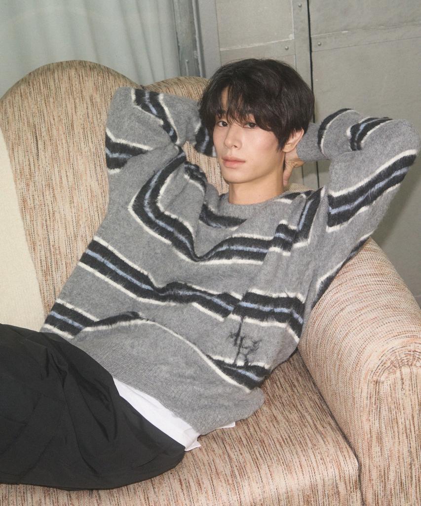 Ledeoli Logo Hairy Stripe Knit [Grey]