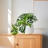 6-Inch  Artificial Houseplant Tabletop Potted Plant Artificial Flower Air Plant Stylish Cute Office Gift