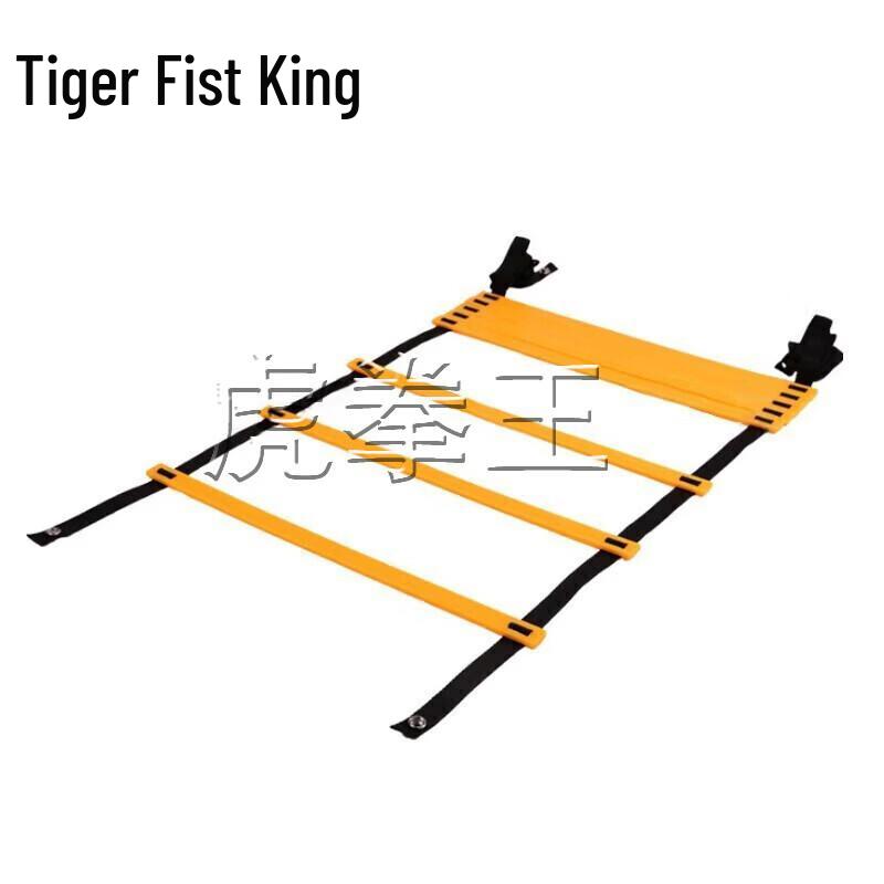 Agility Training Ladder