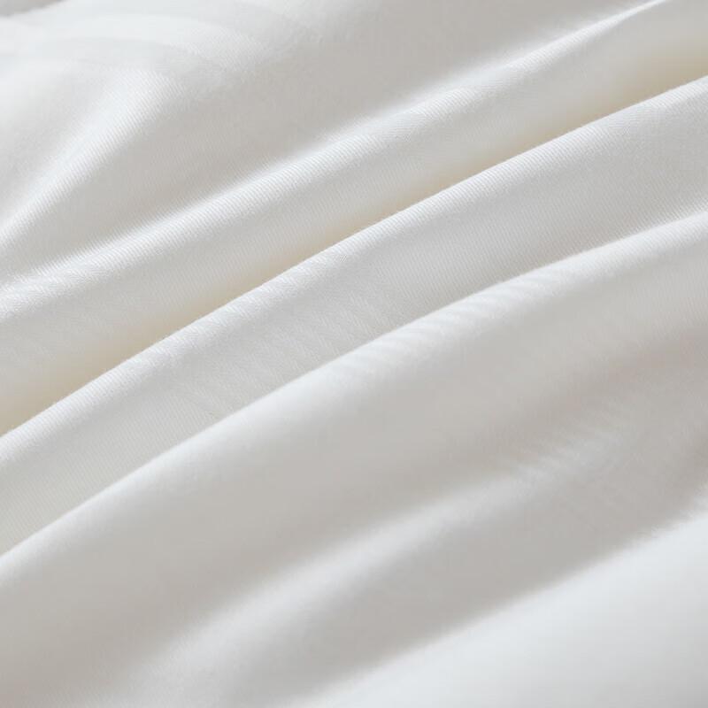 Fang'en Soft Warm Comforter