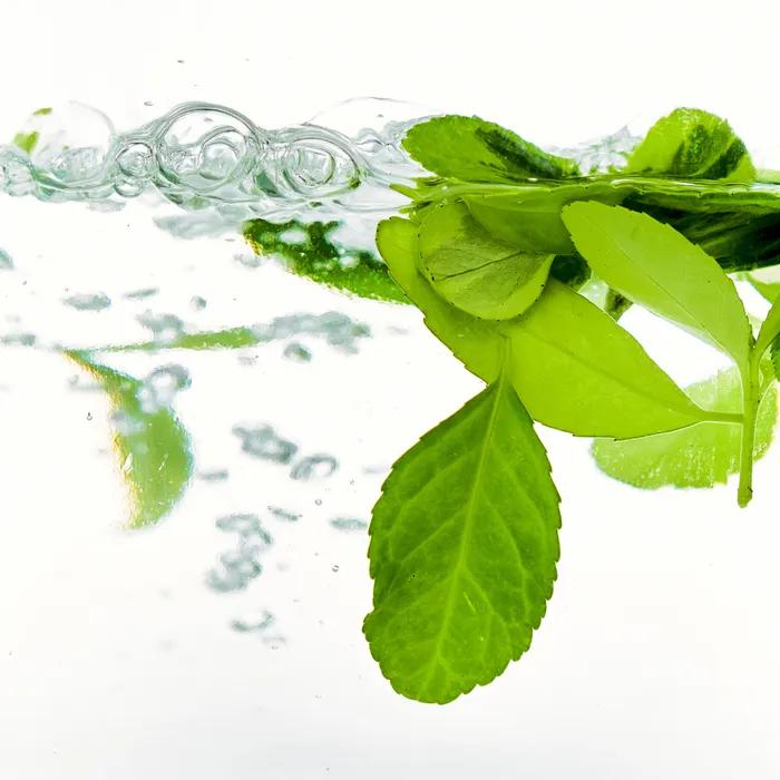 [Mildly Acidic] 1950 Calming Sejak Green Body Wash Acne Relief Shower Ball and Pump Gift
