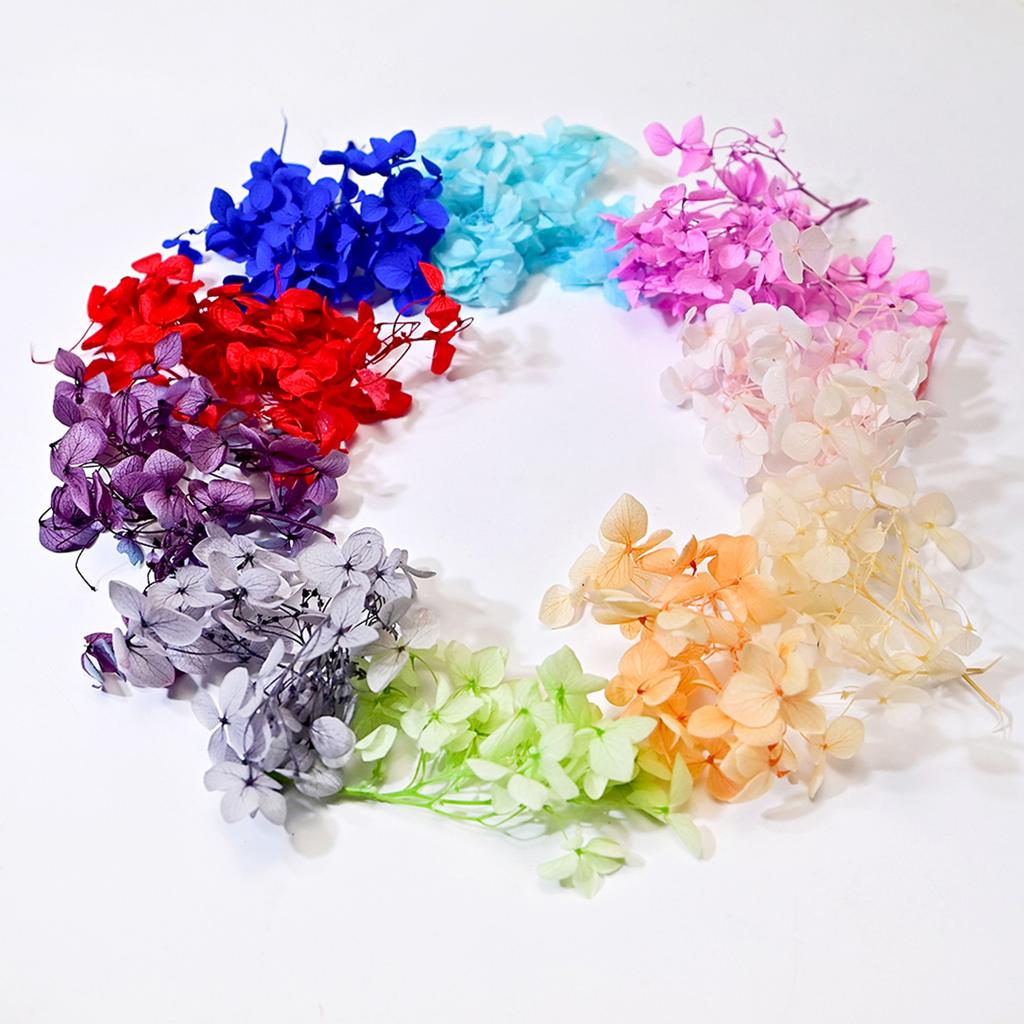 Bukiet z suszonego gipsówki i hortensji zatopionych w żywicy, wieczna dekoracja kwiatowa do domu, prezent ślubny