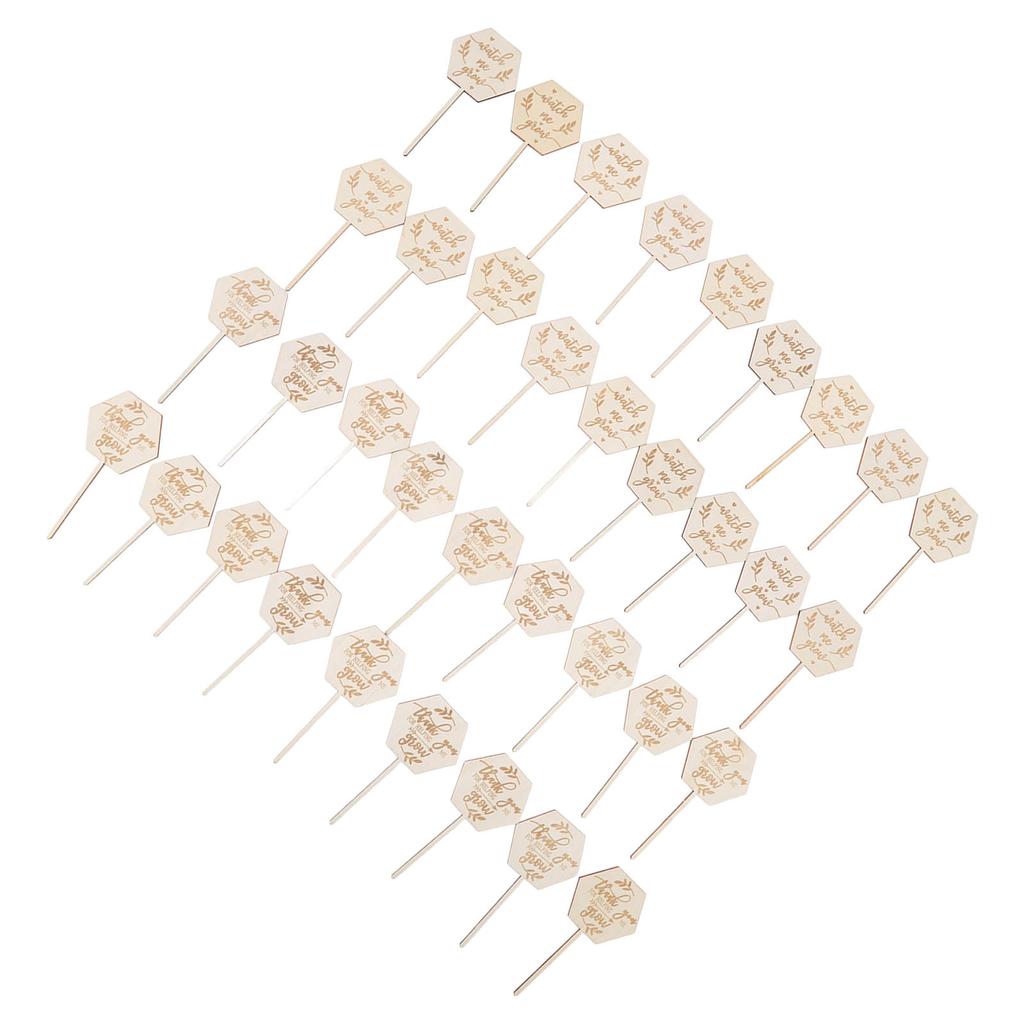 36 st Se mig växa Suckulentetiketter Säkra Miljövänliga Trä Sexkantiga Suckulentetiketter för Blomkruka