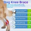 L Dog Knee Brace Hind Leg Knee Brace Enhances Recovery Dog Knee Wrap for Torn ACL Hind Leg Support Cruciate Ligament Injury