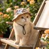 Atmungsaktiver Katzen-Hunde-Sonnenhut Verstellbarer Kordelzug UV-Schutz Haustier-Eimerhut Leicht mit Ohrlöchern Haustier-Cowboyhut