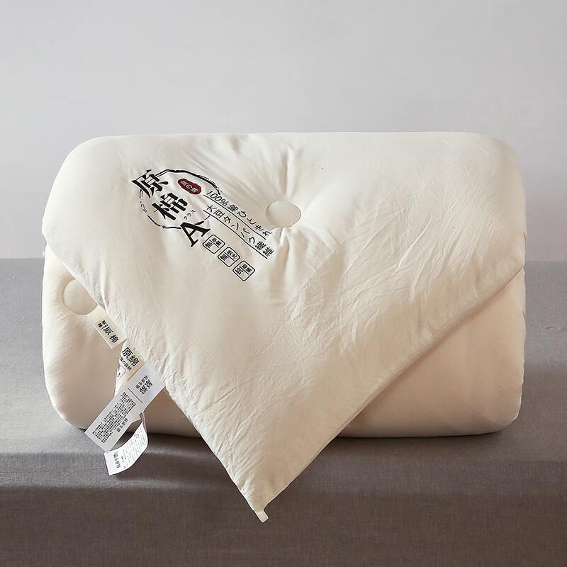 Good Sleep Cotton Soybean Fiber Winter Quilt