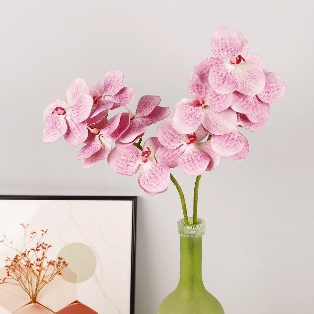 Echte Berührung Simulation Große Mottenorchidee Schmetterlingsorchidee Künstlicher Blumenast Lehrertag