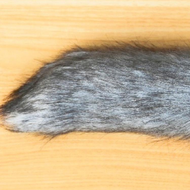 Dog Tail Cats Tail Wolf Leopard Tail Halloween Cosplay Party Costume Huge Furry Tail Faux Furs Foxes Tail for Teen Adult