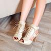Women's high-heeled sandals summer new thick-heeled fish mouth shoes large-size Roman sandals