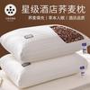 Buckwheat Hull Pillow Core Adults - Ergonomic Neck Support Sleep Single Or Pair Cotton Cover Medium Height