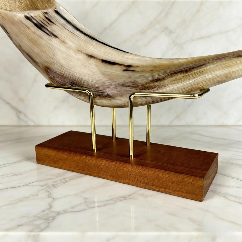 Small Horn Presentation Metal Support for Shelf Desk Cabinet Display, Stand Included for Home Collection Use