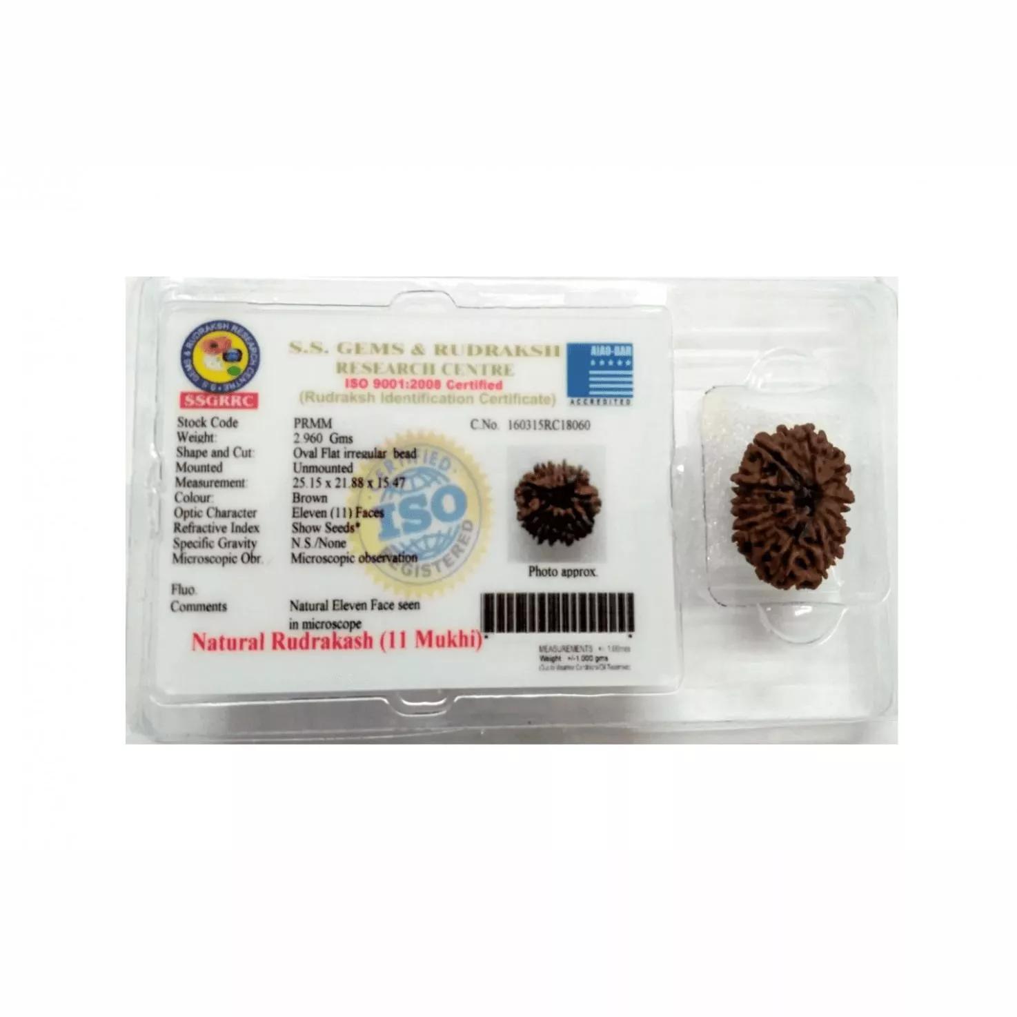 Рудракша сертифицированная (11 мукхи), 11 Mukhi Certified Rudraksha (Nepal), Kalyan Puja