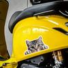 2 Pack 15x8.5cm Peeking Cat Funny Waterproof Vinyl Car Decal Exterior Decor Accessories for