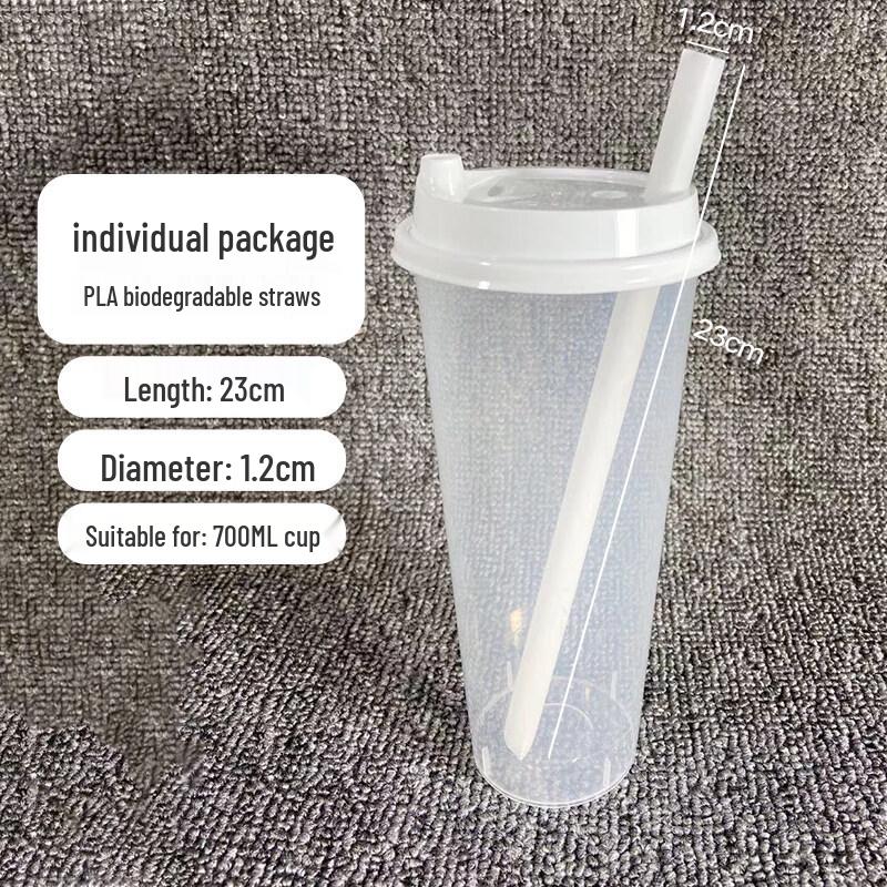 Eco-Friendly Biodegradable PLA Straw
