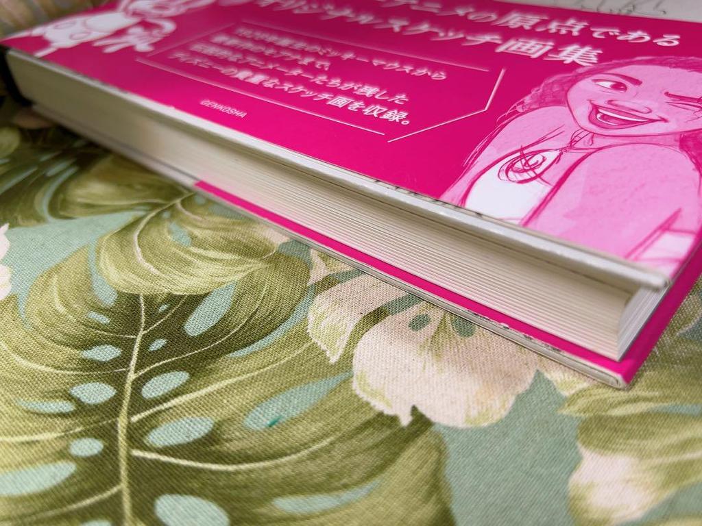 [USED] Disney Sketchbook Disney Sketchbook Sketch Art Collection