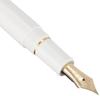 Platinum Fountain Pen Century Chenonceau White Fine Soft PNB-13000#2-0