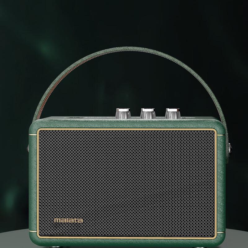 Wanlida M+9212 Outdoor Portable Karaoke Bluetooth Speaker