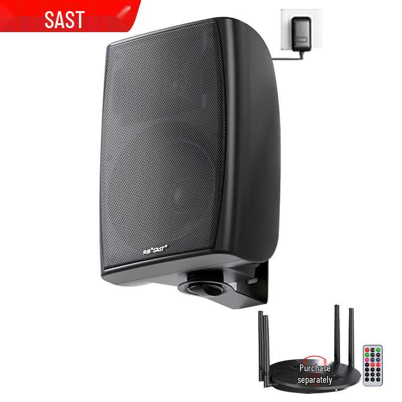 SAST 8-inch Wireless Wall-Mount Speaker CN plug (adapter included)