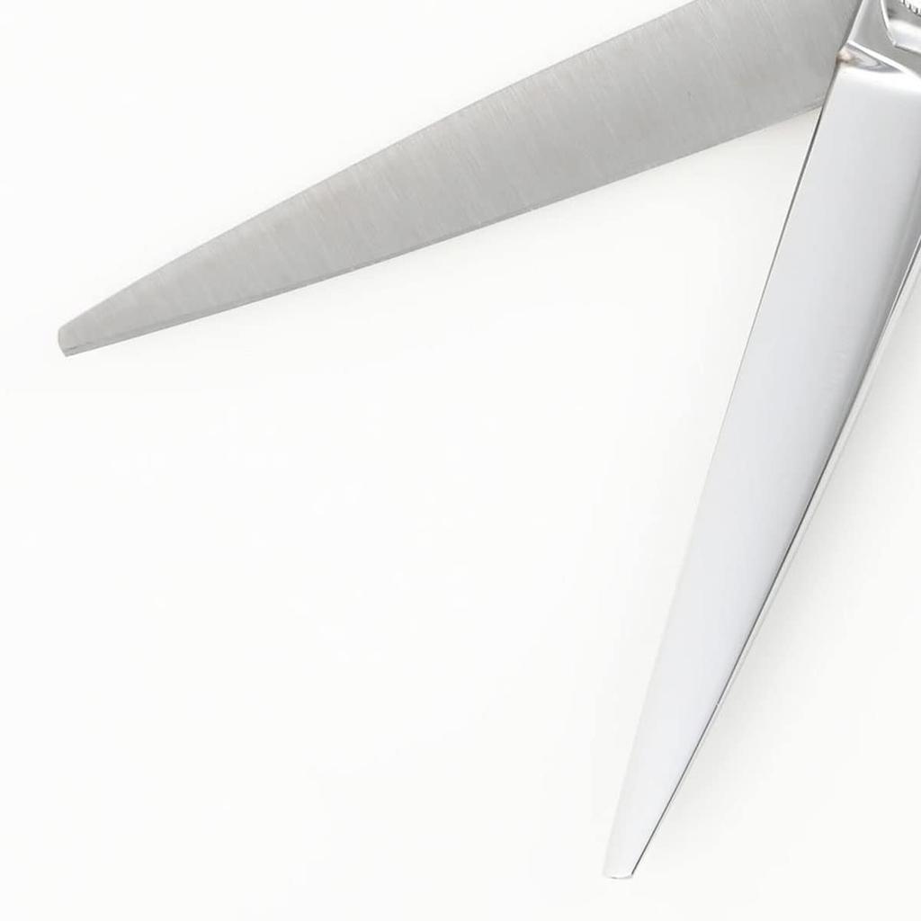 deeds Professional Quality Hair Cutting Scissors and Thinning Shears Set, 6.0 Inch Forged Hairdressing Shears with Comb and Case, AG-01