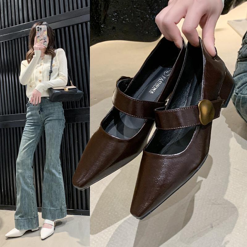 French Style Thick Heel Shallow Mouth Single Shoe for Women, Spring  New Style Pointed Fashion Mary Jane Small Leather Shoes