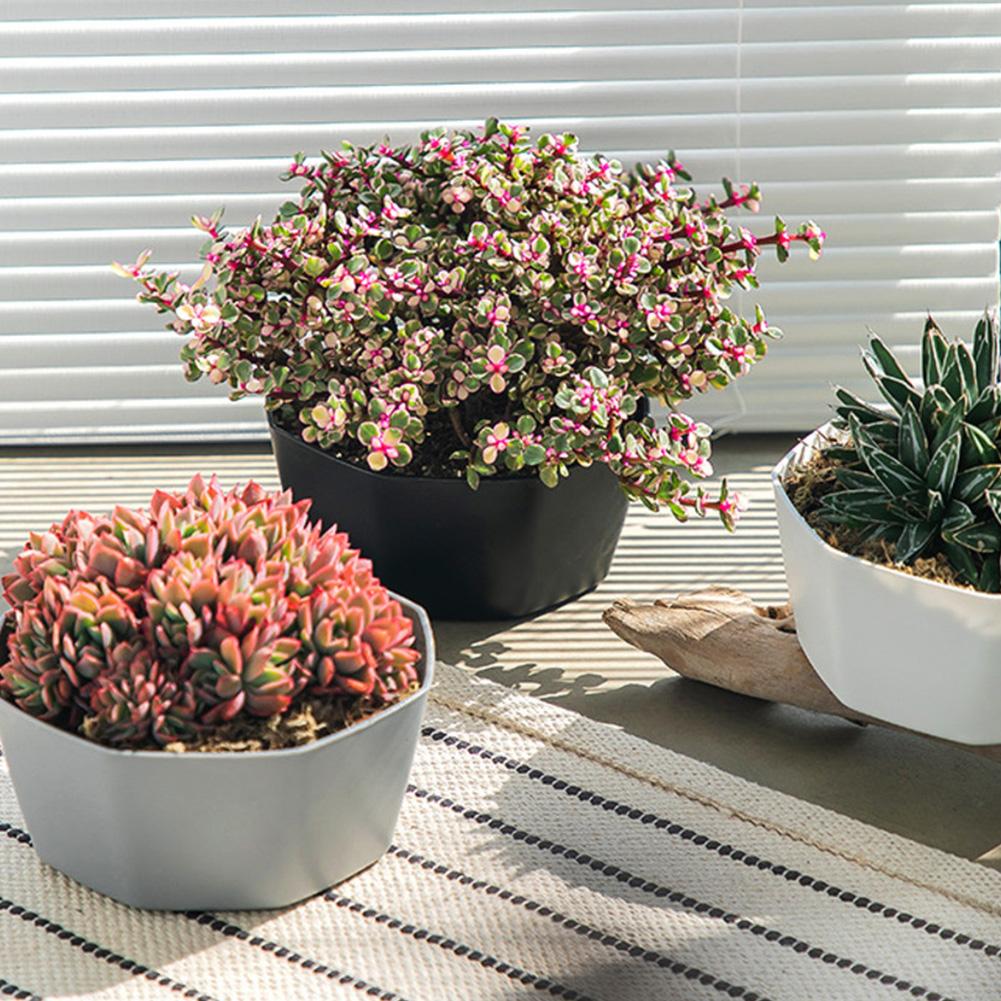 Artistic Design Flower Pots Plastic Flower Pots Succulent Planters