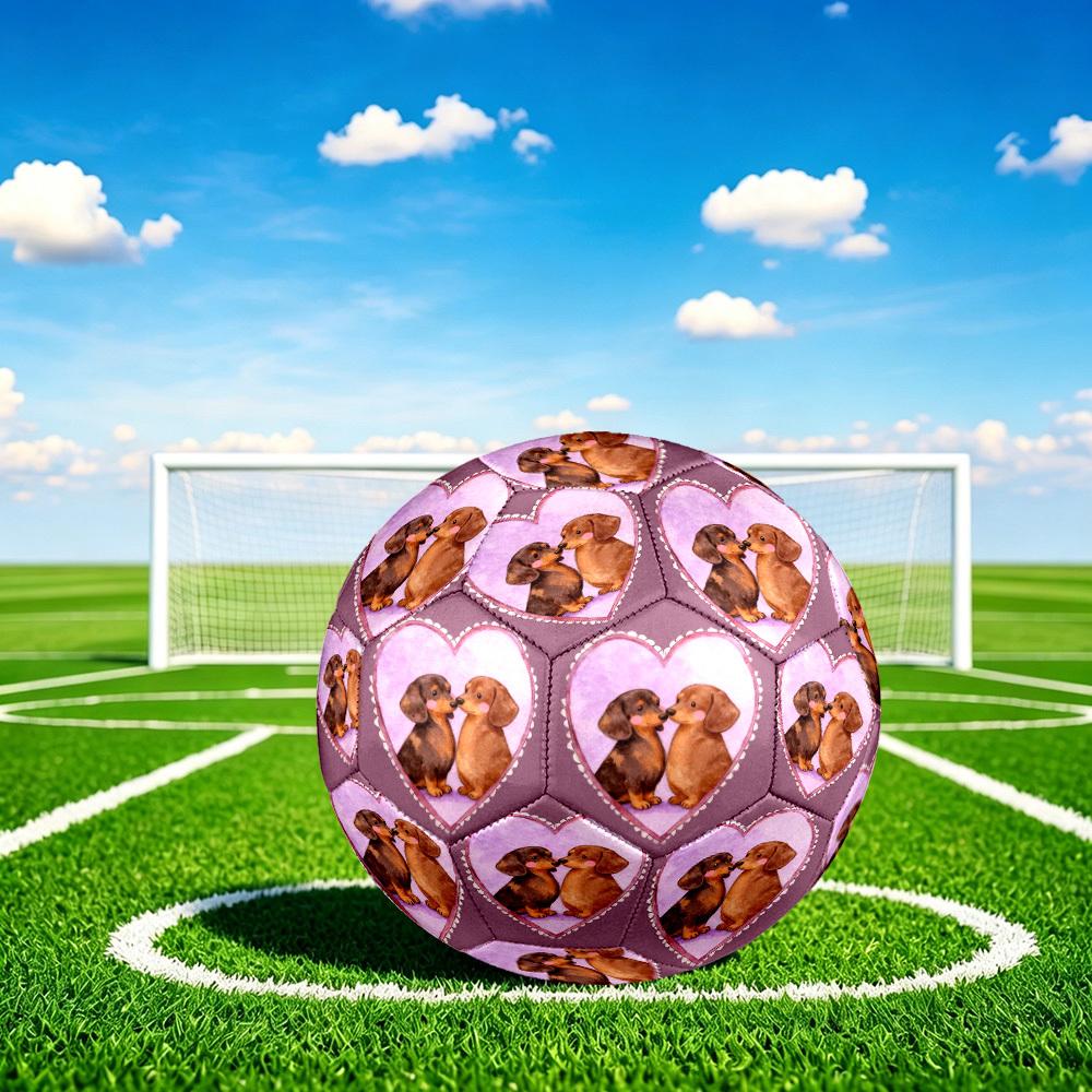 1pc Dachshunds Love Heart Theme Soccer Ball Football, Size 5, Lightweight PVC, Outdoor Training Soccer Ball,Gift J61424