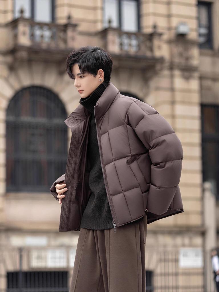 Men's 2025 Trendy Stand Collar Short Down Jacket - Casual Thick Warm White Duck Outerwear