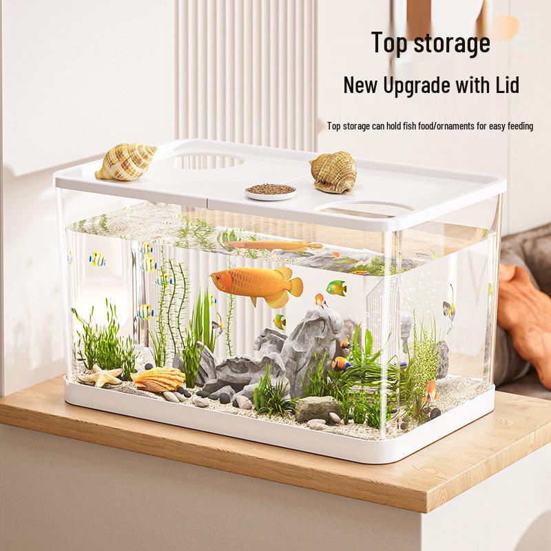 Clear Desktop Fish Tank with Turtle Platform