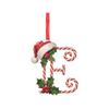 2D Christmas Decoration Pendant Christmas Tree Tag Theme Party Crafts Ornament