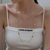 Elegant Double-Layer Titanium Steel Necklace: Women's Long, Non-Fading, Multi-Layered Sweater Chain