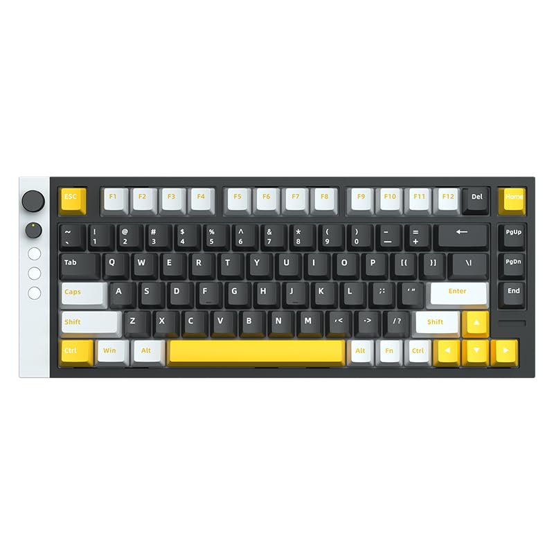 

Lamzu JET75 Black Gaming Keyboard Japanese Distributor Rapid Aluminum Top 8000Hz Wired Magnetic English PBT Adjustable Actuation Point and Dead