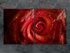 Glass protective plate for the stove 2x45x52 Rose