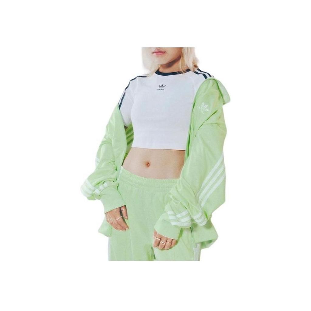adidas Trening larg Adicolor Classics pentru femei, Verde Sclipitor Semi, Streetwear pentru femei IP0614