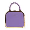 Small bag women's bag 2025 new fashion chain bag hard shell handbag shoulder messenger box bag bags