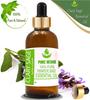 Pure Herbs Salvia Romana Olio Essenziale 100% Puro e Naturale Salvia Sclarea ZA 324