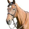 Kincade Classic Leather Horse Cavesson Bridle With Reins
