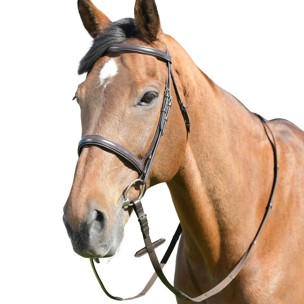 Kincade Classic Leather Horse Cavesson Bridle With Reins