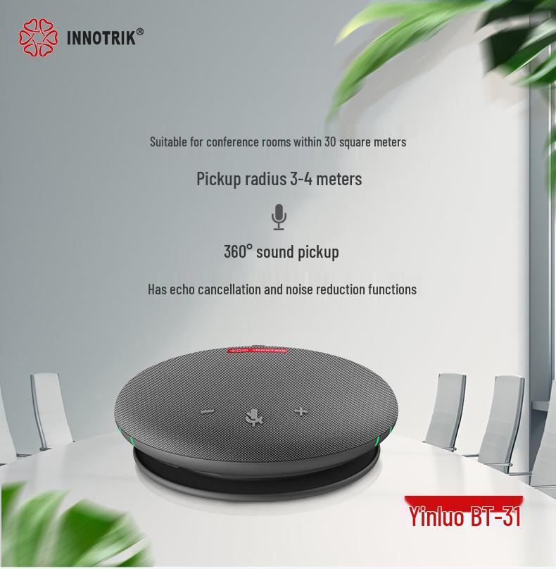 Yinluo I-31 Multi-Functional Bluetooth Speaker: Outdoor Video Conferencing Mic & High-Volume Subwoofer