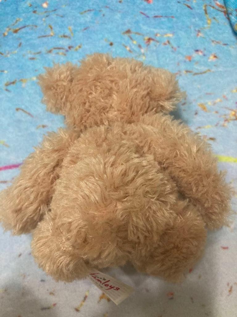 [USED] London Teddy Bear, Palm-sized, Hamleys, Artist, Plush Toy