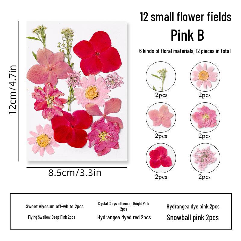 DIY Dried Flower Specimen Sticker Set for Kids: Handmade Pressed Flower Frames & Resin Bookmark Craft Kit