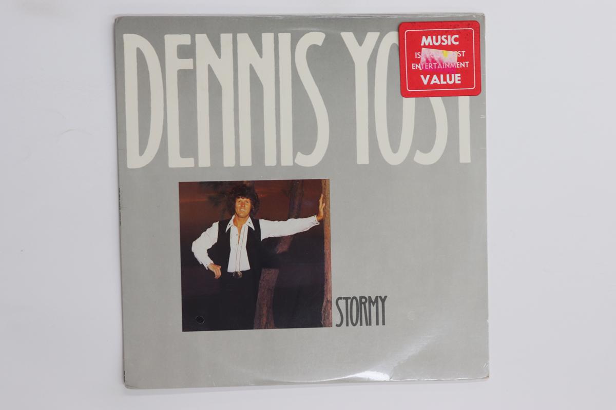 

LP Record DENNIS YOST Stormy SN7107 Accord 1980 US Rock Used
