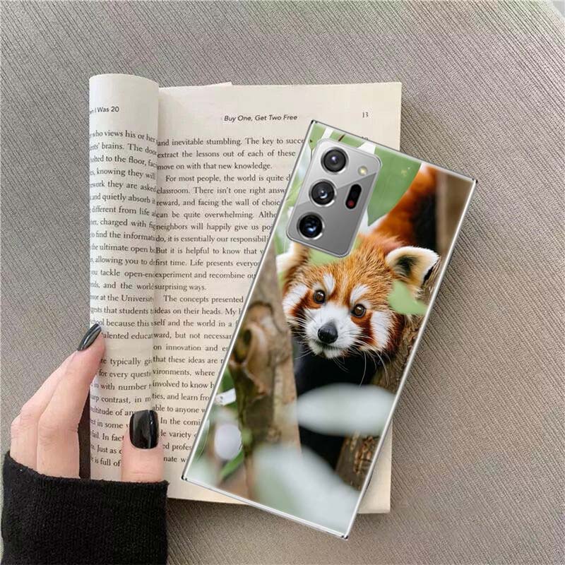 

Popular red pandas Phone Case For Samsung A17 A16 A26 A36 A56 A14 A24 A34 A54 A04S Galaxy A12 A22 A32 A52S A42 A72 M30S M12 M32 Samsung M32 4G