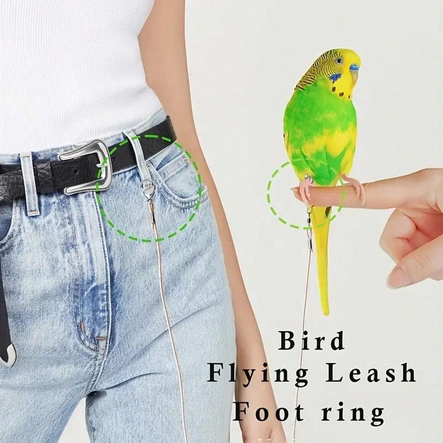 Moderne Vogel-Freilassleine für tägliche Outdoor-Aktivitäten mit Fußring und Karabinerhaken Langlebige Vogelleine für geliebte Vögel
