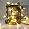 Battery-Powered Warm White Starry String Lights
