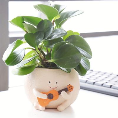 Smily Face Planter Pot With Drainage Hole Creative Succulent Flower Pot Home Garden Flower Container for Indoor Outdoor Plants