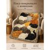 Coperta con Stampa HD 150x100cm per Pisolini in Ufficio