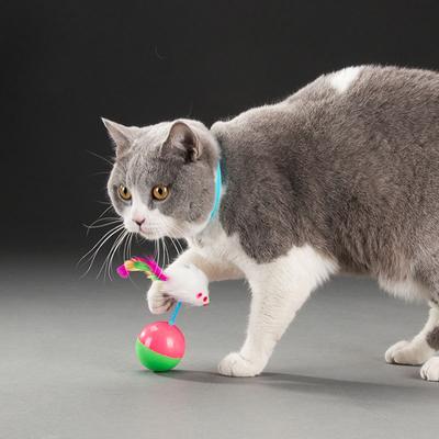 Gatto Giocattolo Autobenessere Topo Tumbler Palla Animale Domestico Interattivo Educativo Giocattolo Sonoro Peluche
