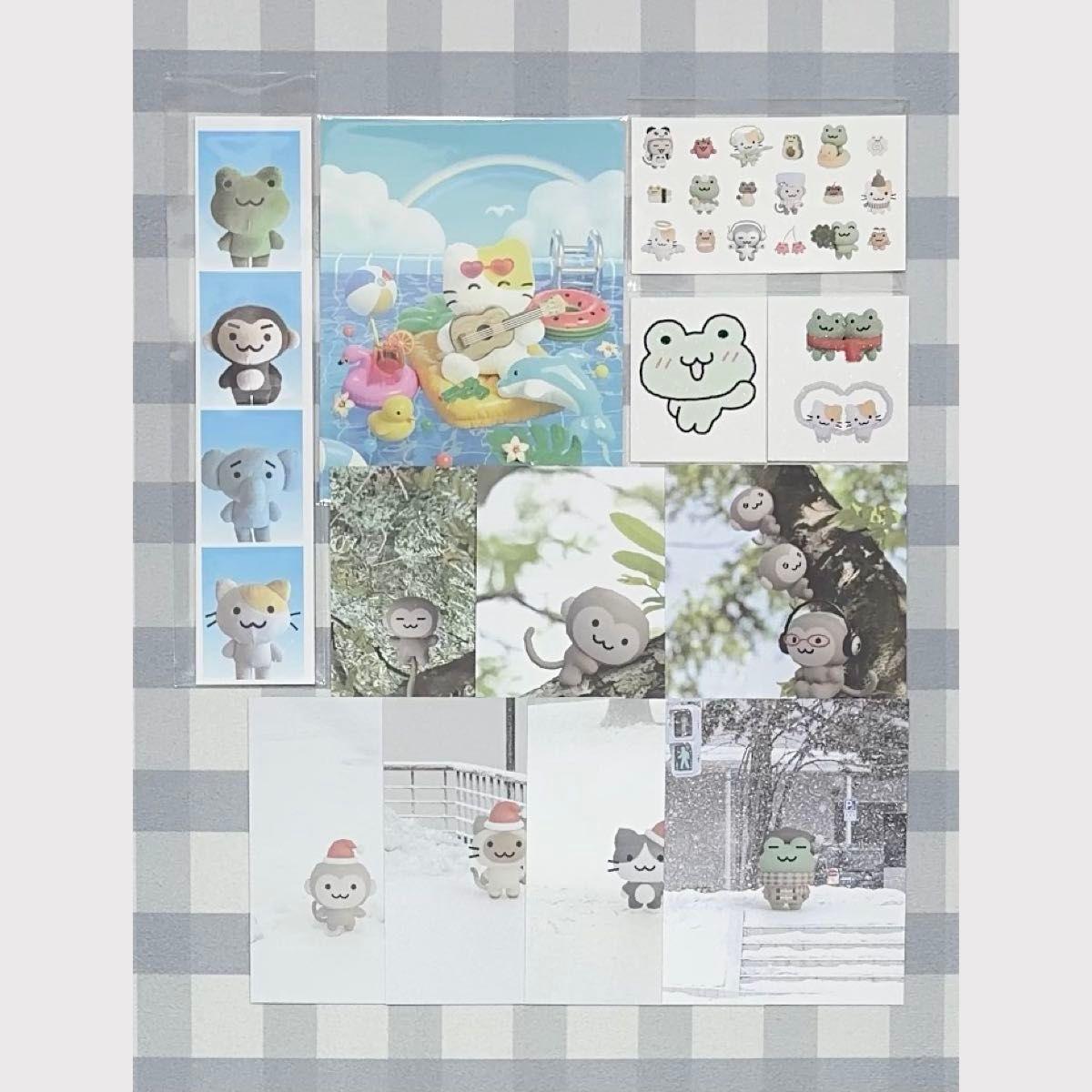 Used [Uneven] Frog Bromide Sticker Card Korea