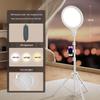 Nufeng 26cm Live Stream Beauty Fill Light with Phone Clip