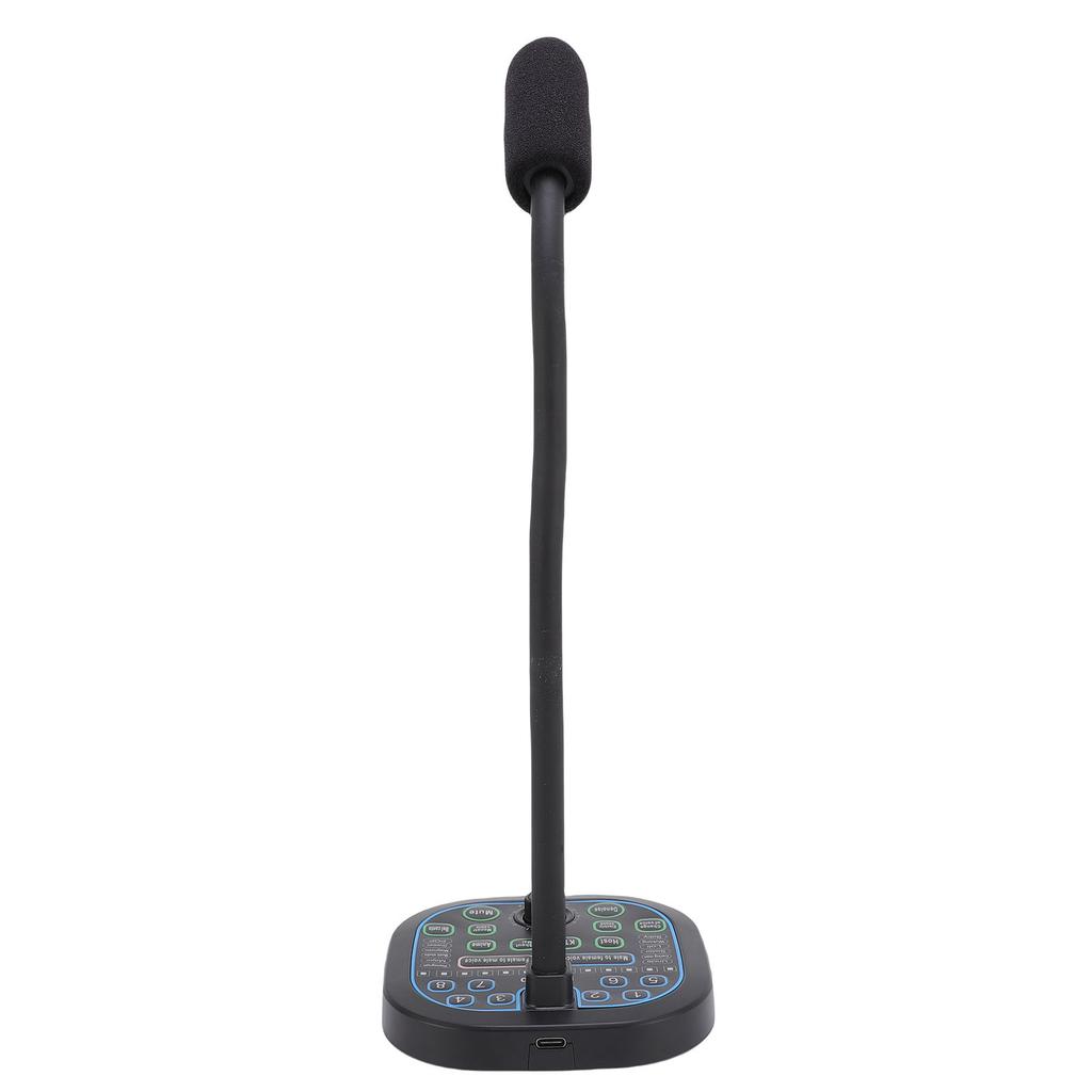 Handheld Microphone Voice Changer 16 Sound Effects Voice Changer Disguiser for Game Recording Phone Computer PC Laptop